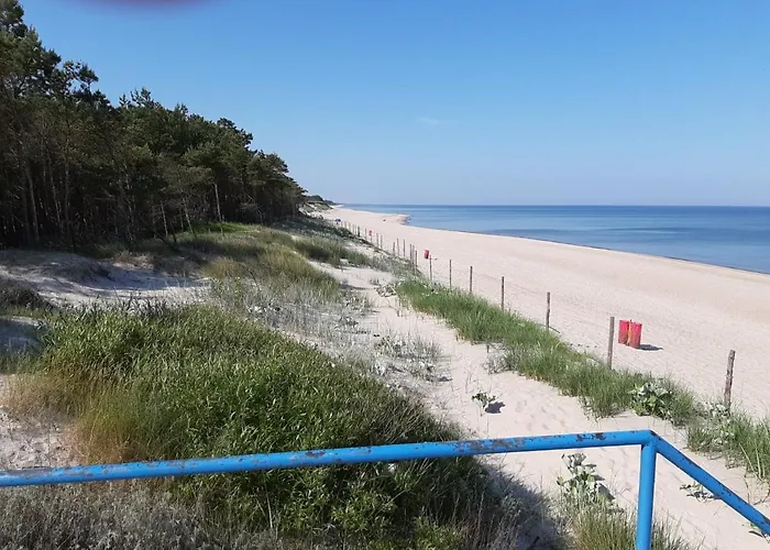 Pod Modrzewiem * Dąbki