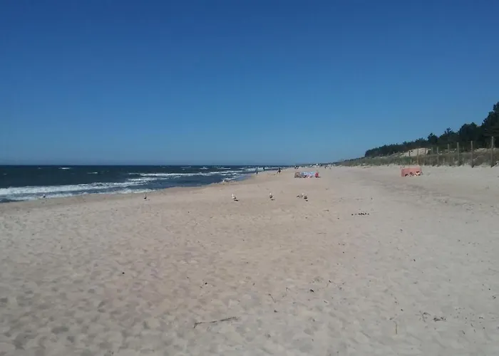 Lodge Pod Modrzewiem Dąbki